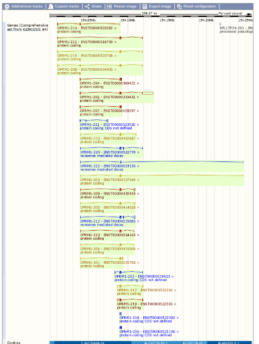 *Add/remove tracks
Custom tracks
Share
Resize image
Export image
256.37 kb
Reset configuration
Forward strand
154.05Mb
154.10мь
154.15Mb
154.20Mb
154.25Mb
Genes (Comprehensive
set from GENCODE 44)
OPRM1-214- BVST00000520282 >
protein coding
OPRM1-211 - ENS TO0000518759 >
protein coding
OPRM1-215- BVST00000520708 >
+
protein coding
OPRM1-208-ENS TO0000434900 >
protein coding
+
OPRM1-204- BVST00000360422 >
protein coding
OPRM1-202-ENSTO0000330432 >
protein coding
OPRM1-207- EVST00000428397 >
protein coding
++
OPRM1-221-ENS TO0000523520 >
protein coding CDS not defined
OPRM1-210-ENST00000452687 >
protein coding
ト
OPRM1-220-ENST00000522739 >
nonsense mediated decay
OPRM1-222-ENST00000524150 >
nonsense mediated decay
OPRM1-203-ENST00000337049 >
protein coding
OPRM1-209-ENST00000435918 >
protein coding
H
+
OPRM1-205-ENST00000414028 >
protein coding
口
OPRM1-212-ENST00000519083 >
nonsense mediated decay
OPRM1-223-ENST00000524163 >
protein coding
OPRM1-206-ENST00000419506 >
protein coding
11
OPRM1-201-ENST00000229768 >
protein coding
на
Contiga
<AL13044410
OPRM1-213-ENST00000519613 >
protein coding CDS not defined
th
OPRM1-217-ENST00000522235 >
protein coding
OPRM1-219-ENST00000522555 >
protein coding
10
OPRM1-218-ENST00000522382 >
protein coding CDS not defined
OPRM1-216-ENST00000521106 >
protein coding CDS not defined
AL132774.20 >
RPL17P24-201-BN
processed pseudoge
AL132774.20 2
AL445220.5>