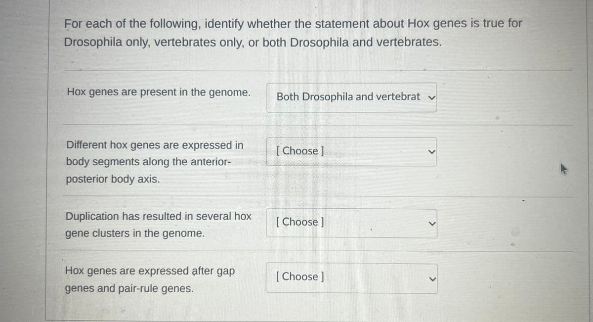 For each of the following, identify whether the statement about Hox genes is true for
Drosophila only, vertebrates only, or both Drosophila and vertebrates.
Hox genes are present in the genome.
Both Drosophila and vertebrat v
Different hox genes are expressed in
[Choose ]
body segments along the anterior-
posterior body axis.
Duplication has resulted in several hox
[Choose]
gene clusters in the genome.
Hox genes are expressed after gap
[Choose ]
genes and pair-rule genes.