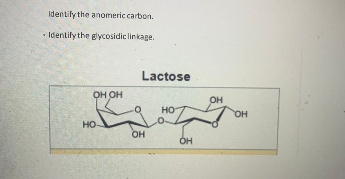 Identify the anomeric carbon.
Identify the glycosidic linkage.
Lactose
ОН ОН
OH
HO
HO,
HO
OH
