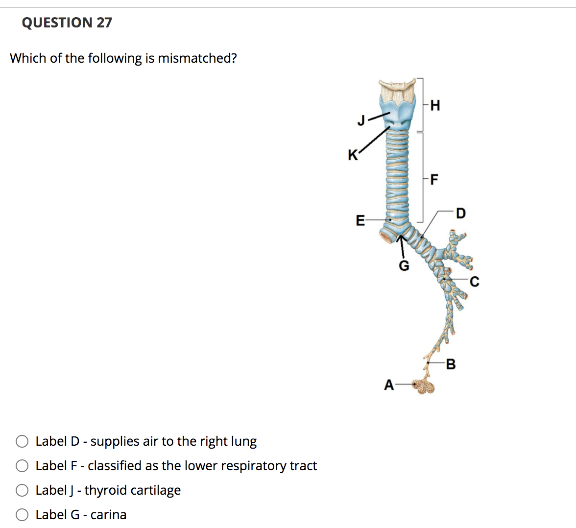 QUESTION 27
Which of the following is mismatched?
FH
-F
D
E-
A-
Label D - supplies air to the right lung
Label F - classified as the lower respiratory tract
Label J - thyroid cartilage
Label G - carina
