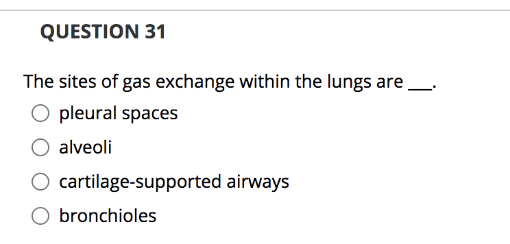 QUESTION 31
The sites of gas exchange within the lungs are
O pleural spaces
alveoli
cartilage-supported airways
O bronchioles
