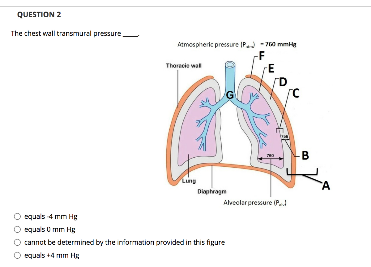 QUESTION 2
The chest wall transmural pressure
Atmospheric pressure (Patm)
= 760 mmHg
F
Thoracic wall
[D
G
756
760
Lung
A
Diaphragm
Alveolar pressure (Paly)
equals -4 mm Hg
equals 0 mm Hg
cannot be determined by the information provided in this figure
equals +4 mm Hg
