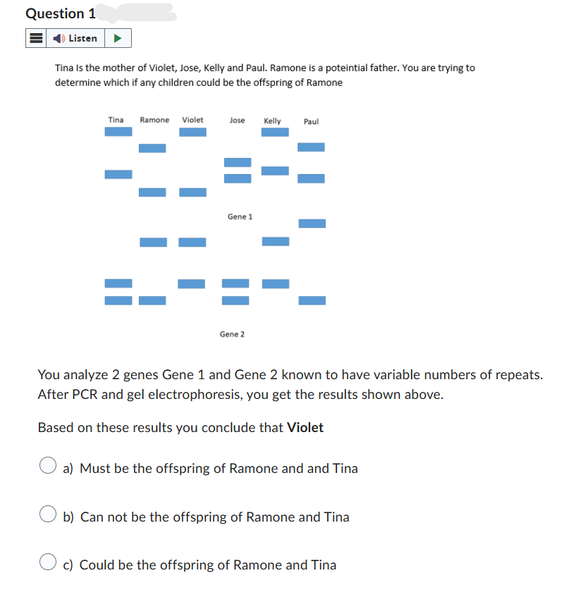 Question 1
Listen
Tina Is the mother of Violet, Jose, Kelly and Paul. Ramone is a potential father. You are trying to
determine which if any children could be the offspring of Ramone
Tina Ramone Violet
Jose
Kelly
Paul
==
=-
Gene 1
Gene 2
You analyze 2 genes Gene 1 and Gene 2 known to have variable numbers of repeats.
After PCR and gel electrophoresis, you get the results shown above.
Based on these results you conclude that Violet
a) Must be the offspring of Ramone and and Tina
b) Can not be the offspring of Ramone and Tina
c) Could be the offspring of Ramone and Tina