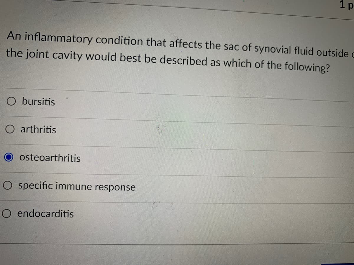 1 p
An inflammatory condition that affects the sac of synovial fluid outside c
the joint cavity would best be described as which of the following?
O bursitis
O arthritis
osteoarthritis
O specific immune response
O endocarditis
