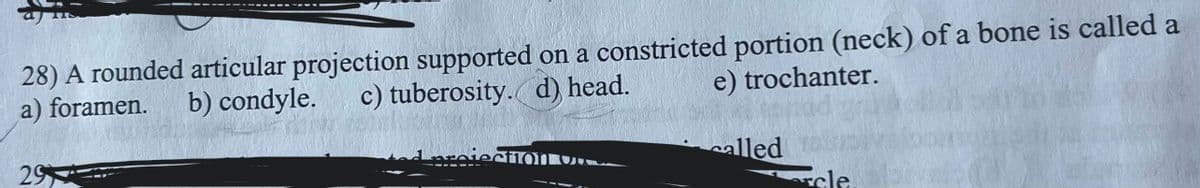 28) A rounded articular projection supported on a constricted portion (neck) of a bone is called a
a) foramen.
29
b) condyle.
c) tuberosity. (d) head.
e) trochanter.
Laroiection of
called
cle