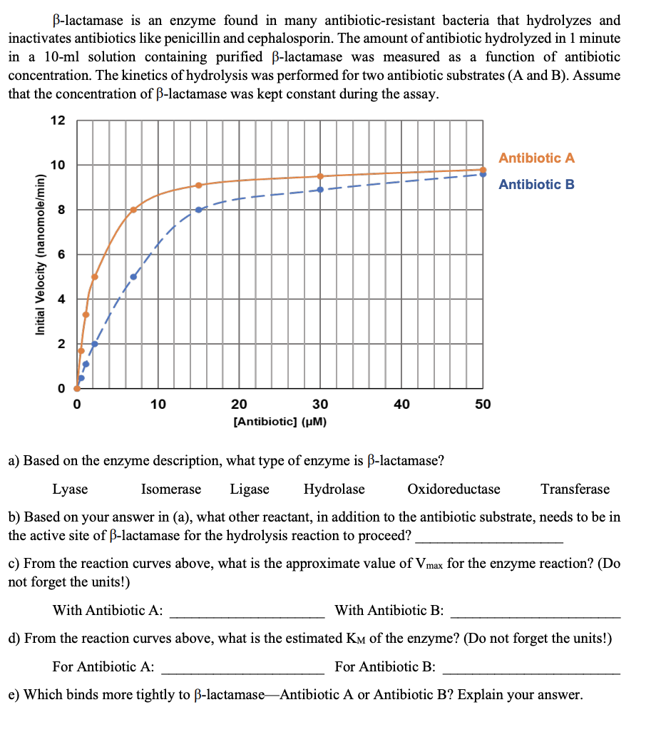 B-lactamase is an enzyme found in many antibiotic-resistant bacteria that hydrolyzes and
inactivates antibiotics like penicillin and cephalosporin. The amount of antibiotic hydrolyzed in 1 minute
in a 10-ml solution containing purified ß-lactamase was measured as a function of antibiotic
concentration. The kinetics of hydrolysis was performed for two antibiotic substrates (A and B). Assume
that the concentration of ß-lactamase was kept constant during the assay.
12
Initial Velocity (nanomole/min)
10
8
2
0
10
20
|
30
[Antibiotic] (µm)
40
50
Antibiotic A
Antibiotic B
a) Based on the enzyme description, what type of enzyme is ß-lactamase?
Lyase
Isomerase
Ligase Hydrolase
Oxidoreductase
Transferase
b) Based on your answer in (a), what other reactant, in addition to the antibiotic substrate, needs to be in
the active site of ß-lactamase for the hydrolysis reaction to proceed?
c) From the reaction curves above, what is the approximate value of Vmax for the enzyme reaction? (Do
not forget the units!)
With Antibiotic A:
With Antibiotic B:
d) From the reaction curves above, what is the estimated K of the enzyme? (Do not forget the units!)
For Antibiotic A:
For Antibiotic B:
e) Which binds more tightly to ß-lactamase Antibiotic A or Antibiotic B? Explain your answer.