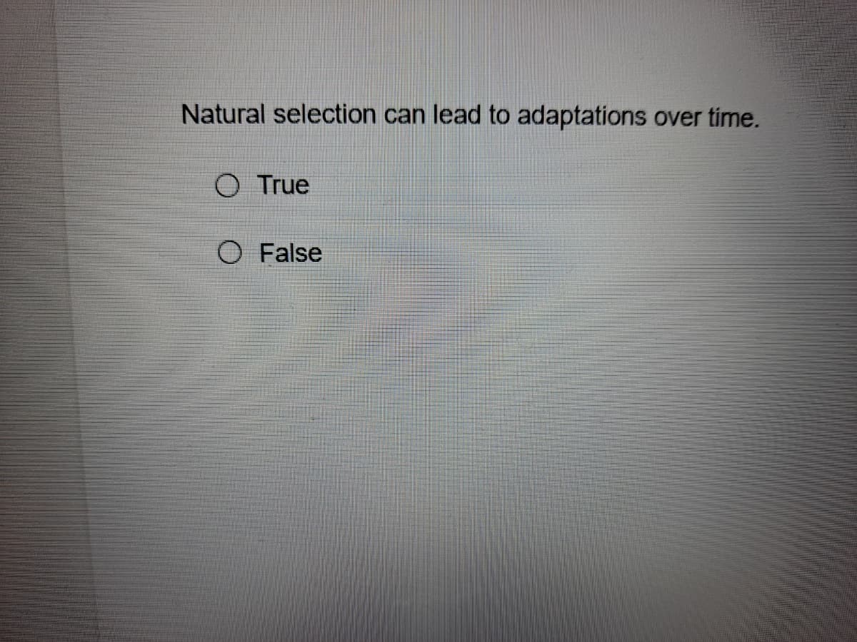 Natural selection can lead to adaptations over time.
O True
O False
