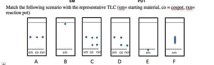 SM
Match the following scenario with the representative TLC (sm= starting material, co = cospot, rxn=
reaction pot)
www w
www.
sm co rxn
sm
sm co rxn
sm co гхn
sm
sm
A
В
C
E
F
