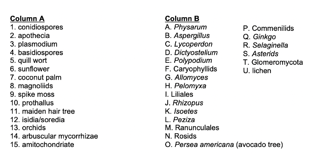 Column A
1. conidiospores
2. apothecia
3. plasmodium
4. basidiospores
5. quill wort
6. sunflower
7. coconut palm
8. magnoliids
9. spike moss
10. prothallus
11. maiden hair tree
12. isidia/soredia
13. orchids
14. arbuscular mycorrhizae
15. amitochondriate
Column B
A. Physarum
B. Aspergillus
C. Lycoperdon
D. Dictyostelium
E. Polypodium
F. Caryophyllids
G. Allomyces
H. Pelomyxa
I. Liliales
J. Rhizopus
K. Isoetes
L. Peziza
M. Ranunculales
N. Rosids
O. Persea americana (avocado tree)
P. Commenilids
Q. Ginkgo
R. Selaginella
S. Asterids
T. Glomeromycota
U. lichen