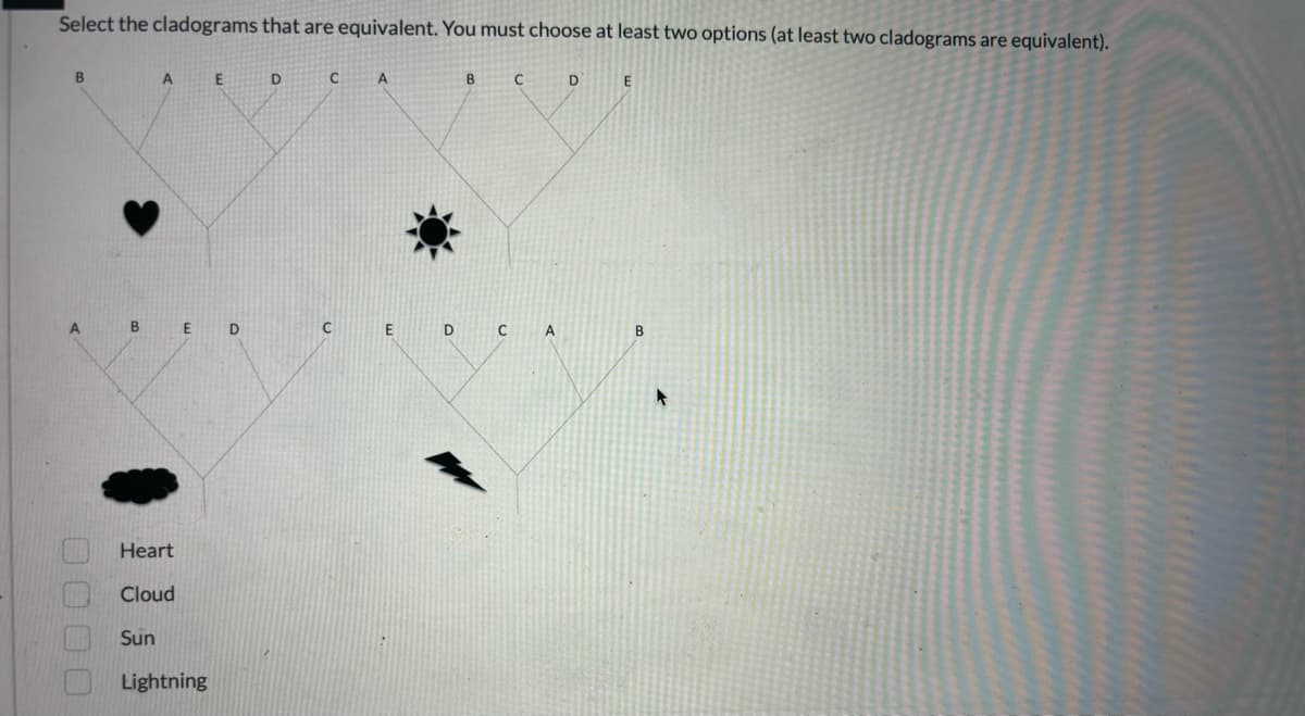 Select the cladograms that are equivalent. You must choose at least two options (at least two cladograms are equivalent).
B
A
0000
A
BE D
Heart
Cloud
Sun
E
Lightning
D
CA
C
E
B
D C
C
A
D
E
B
A