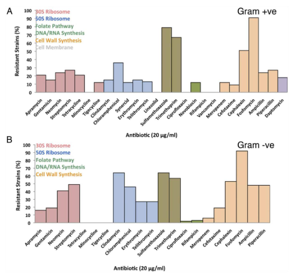 A
B
Resistant Strains (%)
Resistant Strains (%)
100 305 Ribosome
90 505 Ribosome
80 Folate Pathway
70 DNA/RNA Synthesis
Cell Wall Synthesis
Cell Membrane
60
50
40
30
20
0
Apramycin
20
10
Neomycin
Streptomycin
Gentamicin
100 1305 Ribosome
90 - 50S Ribosome
80 Folate Pathway
70 DNA/RNA Synthesis
60 Cell Wall Synthesis
50
40
30
Tetracycline
Tigecycline
Minocycline
Clindamycin
Apramycin
Gentamicin
Neomycin
Tetracycline
Streptomycin
Minocycline
Synercid
Tigecycline
Erythromycin
Chloramphenicol
Telithromycin
Clindamycin
Chloramphenicol
Linezolid
Trimethoprim
Sulfamethoxazole
Antibiotic (20 ug/ml)
Ciprofloxacin
Rifampicin
Erythromycin
Telithromycin
Ciprofloxacin
Trimethoprim
Sulfamethoxazole
Antibiotic (20 µg/ml)
Novobiocin
Rifampicin
Cefotaxime
Vancomycin
Meropenem
Cefotaxime
Gram +ve
Meropenem
aysajeuday
Cephalexin
Fosfomycin
Fosfomycin
«{{{{{cru
Ampicillin
Gram -ve
Piperacillin
Daptomycin
Piperacillin