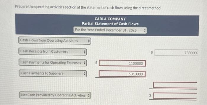 Prepare the operating activities section of the statement of cash flows using the direct method.
CARLA COMPANY
Partial Statement of Cash Flows
For the Year Ended December 31, 2025
Cash Flows from Operating Activities
Cash Receipts from Customers
Cash Payments for Operating Expenses
Cash Payments to Suppliers
Net Cash Provided by Operating Activities
1100000
5010000
7300000