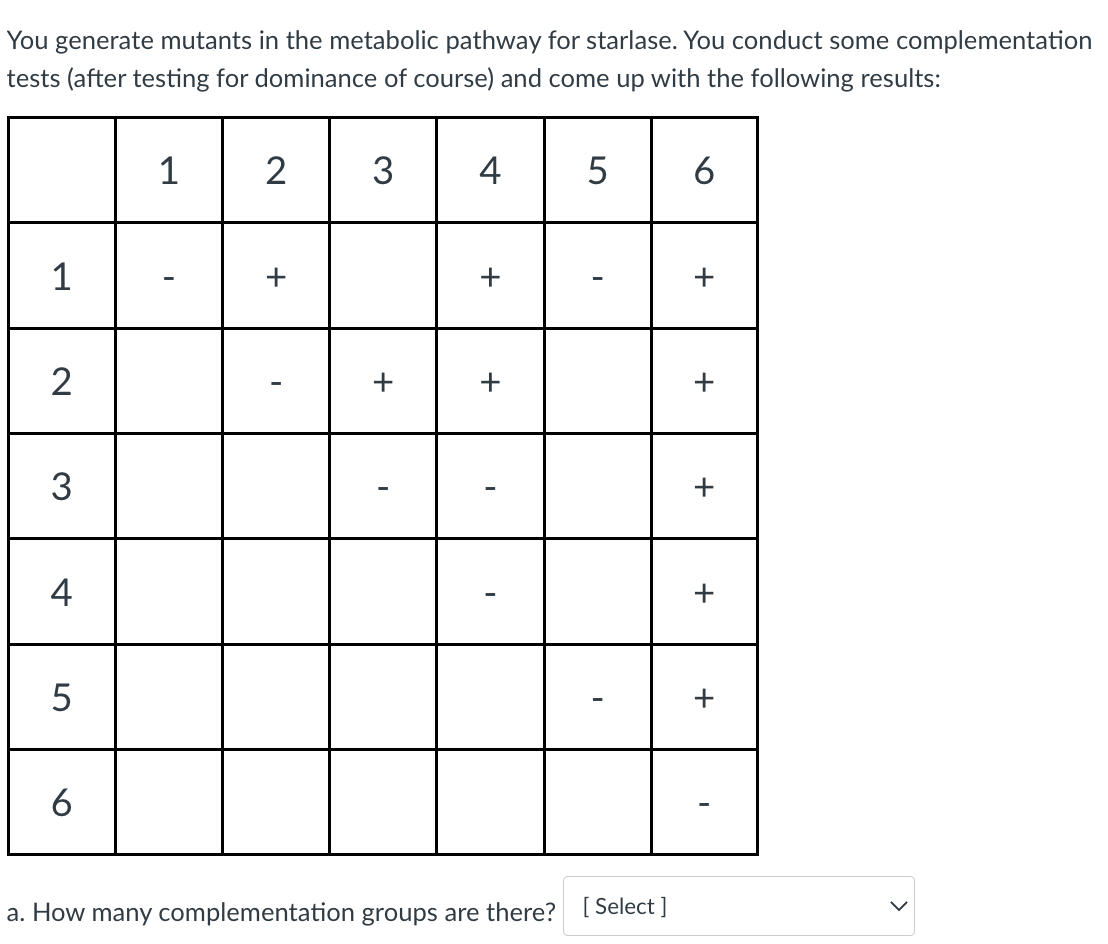 You generate mutants in the metabolic pathway for starlase. You conduct some complementation
tests (after testing for dominance of course) and come up with the following results:
1
2
3
4
5
6
1
I
2
+
3
+
4
+
+
LO
5
a. How many complementation groups are there? [Select]
6
+
+
+
+
+