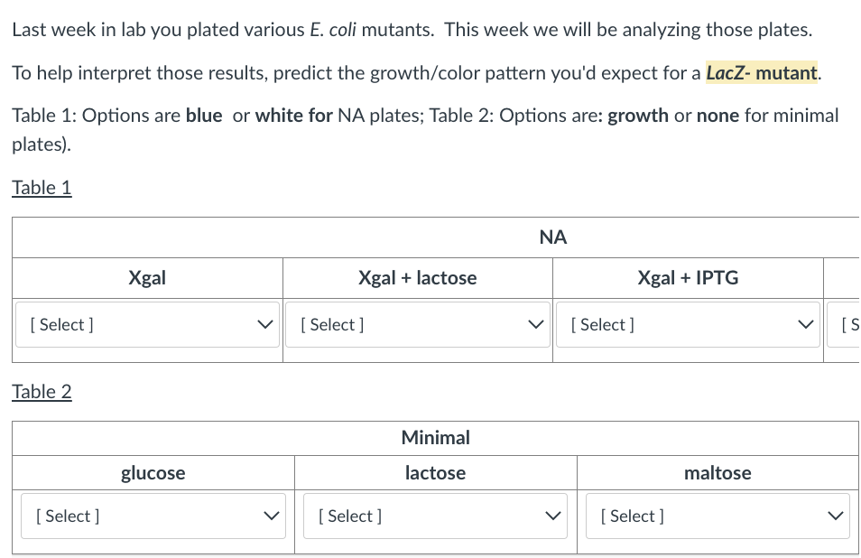 Last week in lab you plated various E. coli mutants. This week we will be analyzing those plates.
To help interpret those results, predict the growth/color pattern you'd expect for a Lacz- mutant.
Table 1: Options are blue or white for NA plates; Table 2: Options are: growth or none for minimal
plates).
Table 1
[Select]
Table 2
[Select]
Xgal
glucose
Xgal + lactose
[Select]
[Select]
Minimal
lactose
ΝΑ
[Select]
Xgal + IPTG
[Select]
maltose
>
[S