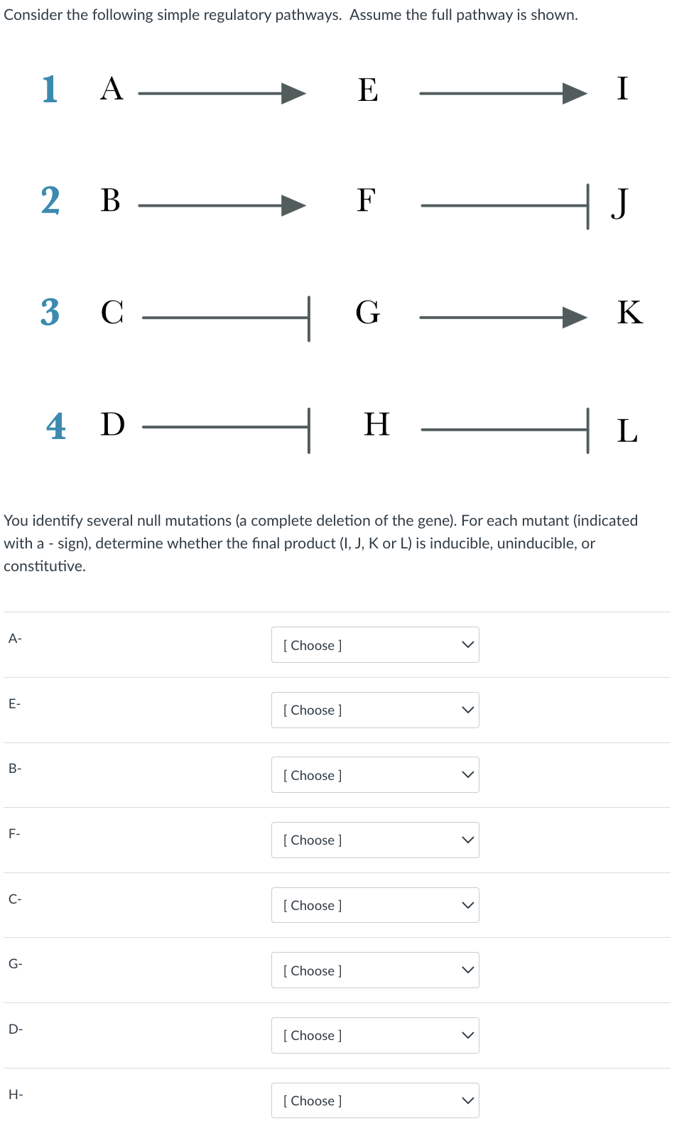 Consider the following simple regulatory pathways. Assume the full pathway is shown.
A-
E-
B-
F-
C-
G-
D-
1 A
H-
2 B
|| L
You identify several null mutations (a complete deletion of the gene). For each mutant (indicated
with a - sign), determine whether the final product (I, J, K or L) is inducible, uninducible, or
constitutive.
3 C
4 D-
[Choose ]
[Choose ]
[Choose ]
[Choose ]
[Choose ]
[Choose ]
[Choose ]
E
[Choose ]
F
G
I
H
|| J
K