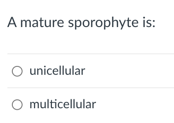 A mature sporophyte is:
O unicellular
O multicellular