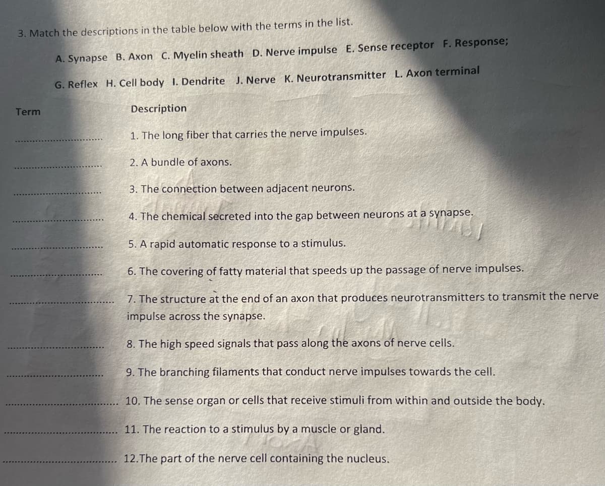 3. Match the descriptions in the table below with the terms in the list.
A. Synapse B. Axon C. Myelin sheath D. Nerve impulse E. Sense receptor F. Response;
G. Reflex H. Cell body 1. Dendrite J. Nerve K. Neurotransmitter L. Axon terminal
Term
Description
1. The long fiber that carries the nerve impulses.
2. A bundle of axons.
3. The connection between adjacent neurons.
4. The chemical secreted into the gap between neurons at a synapse.
5. A rapid automatic response to a stimulus.
6. The covering of fatty material that speeds up the passage of nerve impulses.
7. The structure at the end of an axon that produces neurotransmitters to transmit the nerve
impulse across the synapse.
8. The high speed signals that pass along the axons of nerve cells.
9. The branching filaments that conduct nerve impulses towards the cell.
10. The sense organ or cells that receive stimuli from within and outside the body.
11. The reaction to a stimulus by a muscle or gland.
12. The part of the nerve cell containing the nucleus.