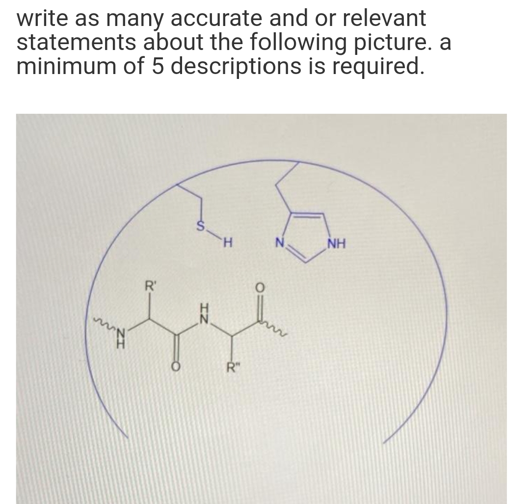 write as many accurate and or relevant
statements about the following picture. a
minimum of 5 descriptions is required.
H.
NH
R'
