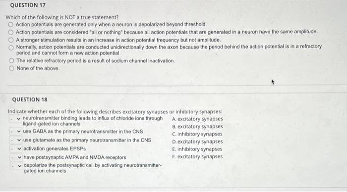 QUESTION 17
Which of the following is NOT a true statement?
Action potentials are generated only when a neuron is depolarized beyond threshold.
Action potentials are considered "all or nothing" because all action potentials that are generated in a neuron have the same amplitude.
A stronger stimulation results in an increase in action potential frequency but not amplitude.
Normally, action potentials are conducted unidirectionally down the axon because the period behind the action potential is in a refractory
period and cannot form a new action potential
The relative refractory period is a result of sodium channel inactivation.
None of the above.
QUESTION 18
Indicate whether each of the following describes excitatory synapses or inhibitory synapses:
neurotransmitter binding leads to influx of chloride ions through
ligand-gated ion channels
A. excitatory synapses
✓ use GABA as the primary neurotransmitter in the CNS
B. excitatory synapses
C. inhibitory synapses
D. excitatory synapses
use glutamate as the primary neurotransmitter in the CNS
activation generates EPSPS
E. inhibitory synapses
✓ have postsynaptic AMPA and NMDA receptors
F. excitatory synapses
depolarize the postsynaptic cell by activating neurotransmitter-
gated ion channels