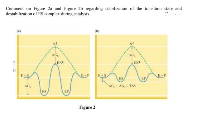 Comment on Figure 2a and Figure 2b regarding stabilization of the transition state and
destabilization of ES complex during catalysis.
(b)
AG
AG
EX
EX
E+S
E+P
ES
EP
AG
AG,+ AG- TAS
ES
EP
Figure 2
