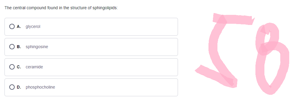 The central compound found in the structure of sphingolipids:
О А. glycerol
О в. sphingosine
О с. ceramide
O D. phosphocholine
58