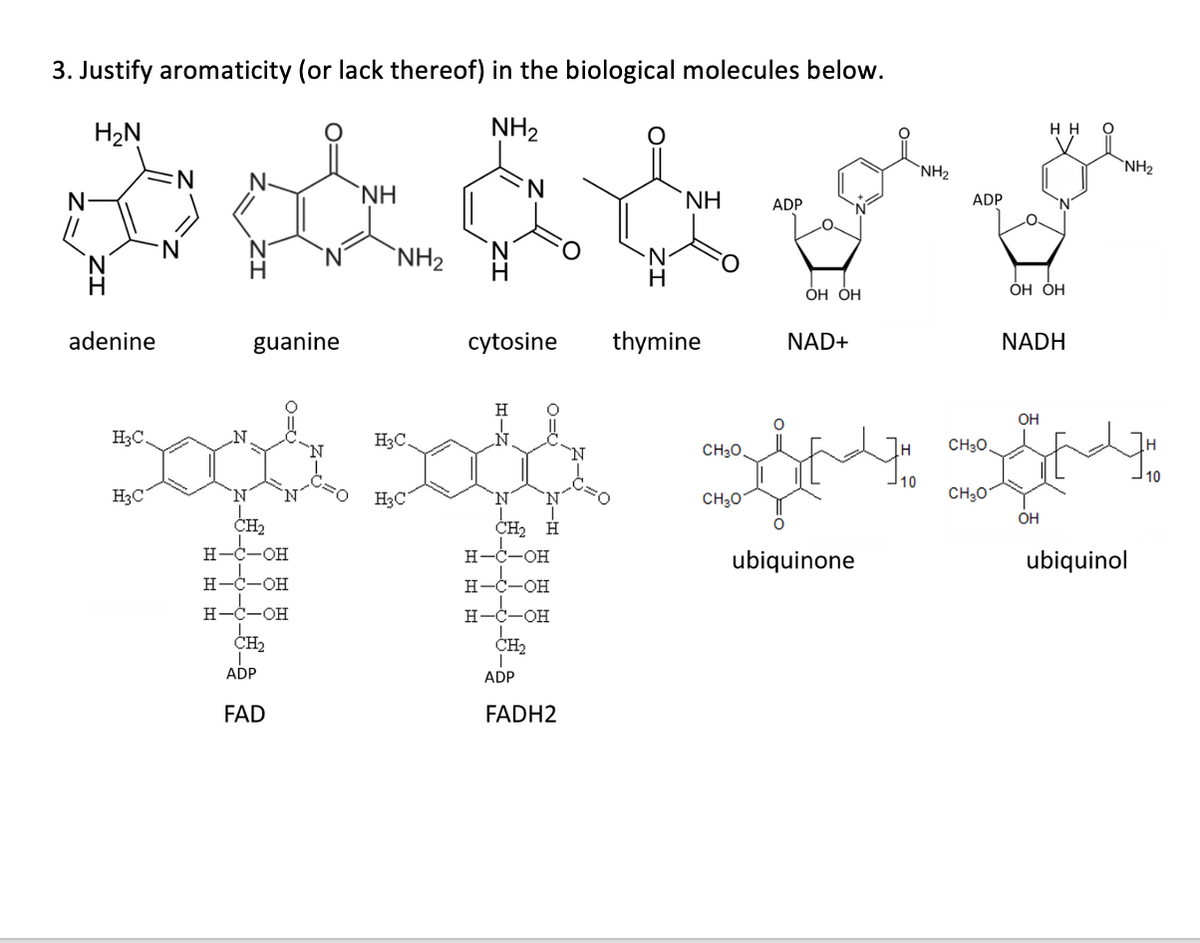 3. Justify aromaticity (or lack thereof) in the biological molecules below.
H2N
NH2
H H
`NH2
`NH2
N-
NH
N.
`NH
ADP
ADP
N.
`NH2
H
ОН ОН
ОН ОН
adenine
guanine
cytosine
thymine
NAD+
NADH
H
OH
H3C.
H3C.
CH30.
CH30
10
10
H3C
'N'
N.
H3C
N.
CH30
CH30
N'
CH2
OH
CH2 H
H-C-OH
H
-OH-
ubiquinone
ubiquinol
H-C-OH
H-
-он
Н-С—он
H
Ċ-OH
CH2
CH2
ADP
ADP
FAD
FADH2
