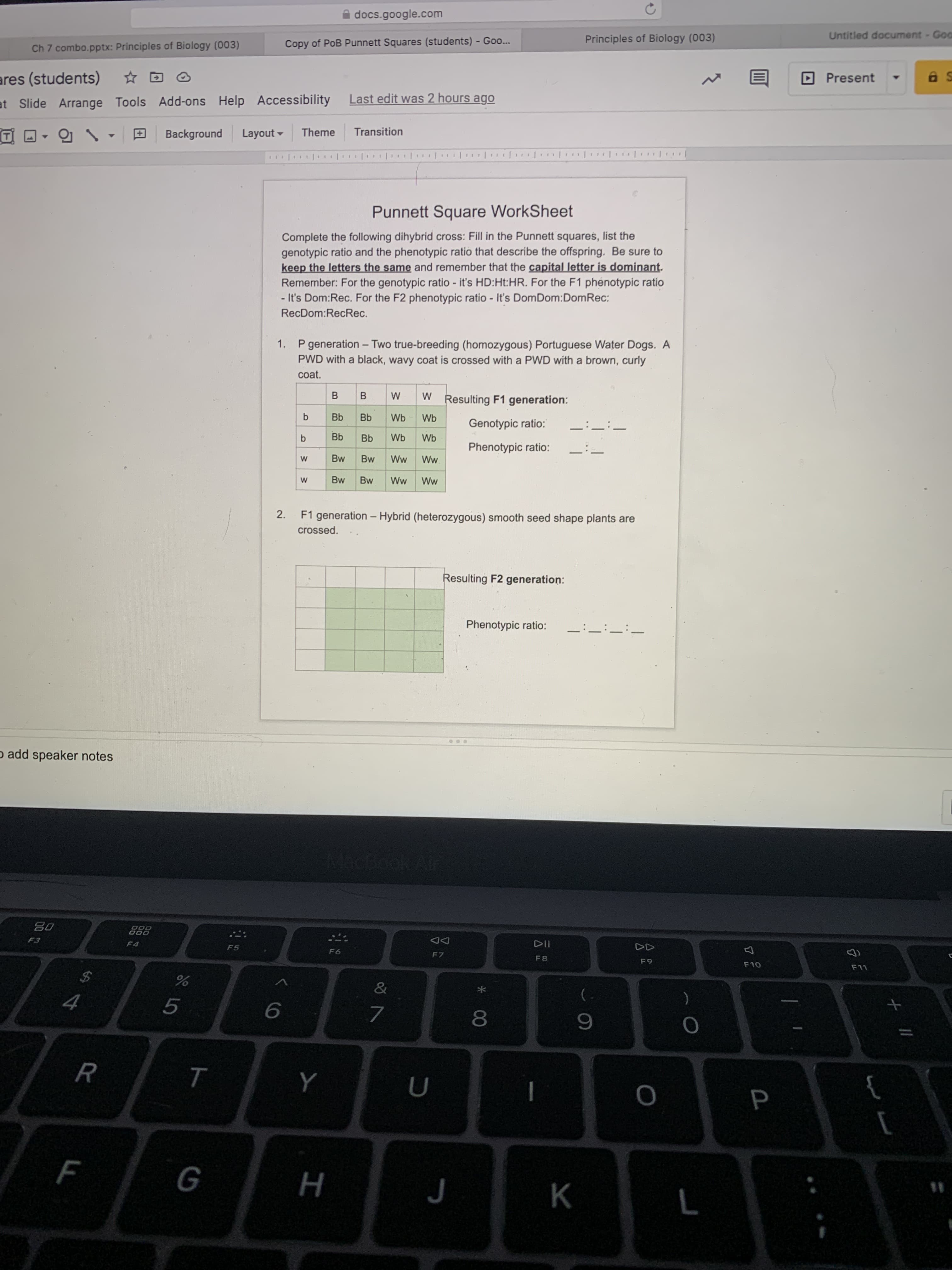 * 00
G
ト
LL
A docs.google.com
Principles of Biology (003)
Untitled document-Go
Ch 7 combo.pptx: Principles of Biology (003)
Copy of PoB Punnett Squares (students) - Goo...
ares (students)
DPresent
at Slide Arrange Tools Add-ons Help Accessibility
Last edit was 2 hours ago
Background
Layout -
Theme
Transition
11
Punnett Square WorkSheet
Complete the following dihybrid cross: Fill in the Punnett squares, list the
genotypic ratio and the phenotypic ratio that describe the offspring. Be sure to
keep the letters the same and remember that the capital letter is dominant.
Remember: For the genotypic ratio - it's HD:Ht:HR. For the F1 phénotypic ratio
- It's Dom:Rec. For the F2 phenotypic ratio - It's DomDom:DomRec:
RecDom:RecRec.
P generation - Two true-breeding (homozygous) Portuguese Water Dogs. A
PWD with a black, wavy coat is crossed with a PWD with a brown, curly
coat.
W Resulting F1 generation:
B.
Bb
Wb
Genotypic ratio:
Phenotypic ratio:
Bw
Bw
Mw.
Bw
MM
2. F1 generation – Hybrid (heterozygous) smooth seed shape plants are
crossed.
Resulting F2 generation:
Phenotypic ratio:
o add speaker notes
MacBook A
000
F5
DD
F8
F10
5.
Y
R.
P.
}
K
%3D
H
