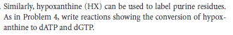 Similarly, hypoxanthine (HX) can be used to label purine residues.
As in Problem 4, write reactions showing the conversion of hypox-
anthine to DATP and dGTP.
