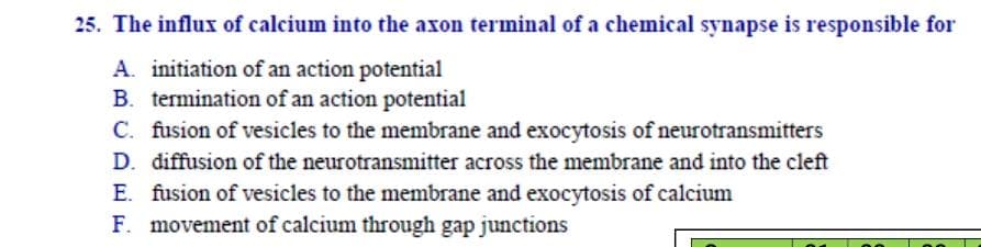 25. The influx of calcium into the axon terminal of a chemical synapse is responsible for
A. initiation of an action potential
B. termination of an action potential
C. fusion of vesicles to the membrane and exocytosis of neurotransmitters
D. diffusion of the neurotransmitter across the membrane and into the cleft
E. fusion of vesicles to the membrane and exocytosis of calcium
F. movement of calcium through gap junctions
