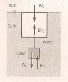 W.S.
Wc
Cork
BFC
Water
Lead
WL
BF
