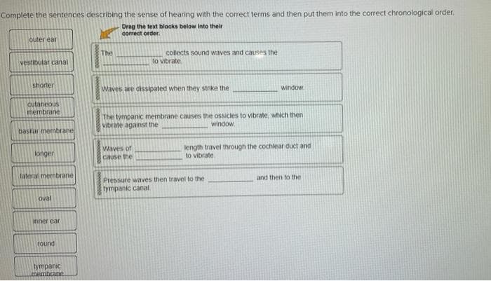 Complete the sentences describing the sense of hearing with the correct terms and then put them into the correct chronological order.
Drag the text blocks below into their
correct order.
outer ear
vestibular canal
shorter
cutaneous
membrane
basilar membrane
longer
lateral membrane
oval
inner ear
round
tympanic
membrane
The
collects sound waves and causes the
to vibrate
Waves are dissipated when they strike the
Waves of
cause the
The tympanic membrane causes the ossicles to vibrate, which then
vibrate against the
window.
window
length travel through the cochlear duct and
to vibrate.
Pressure waves then travel to the
tympanic canal.
and then to the