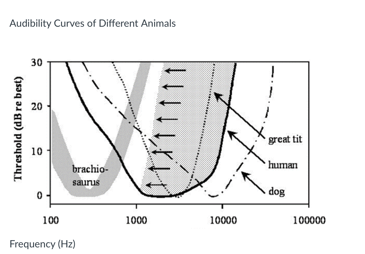 Audibility Curves of Different Animals
Threshold (dB re best)
30
20
20
10
brachio-
saurus
0
100
Frequency (Hz)
great tit
human
dog
1000
10000
100000