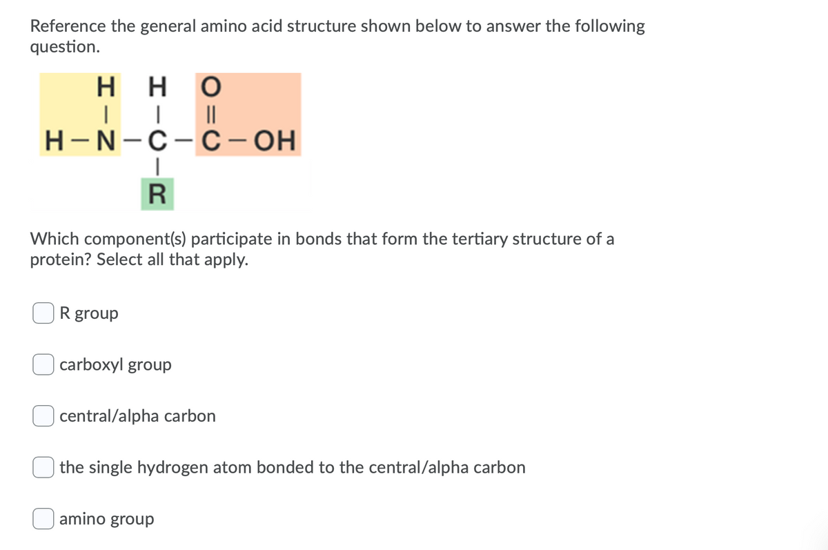 Reference the general amino acid structure shown below to answer the following
question.
н
нно
||
Н-N-с-с - он
H
Which component(s) participate in bonds that form the tertiary structure of a
protein? Select all that apply.
R group
carboxyl group
central/alpha carbon
the single hydrogen atom bonded to the central/alpha carbon
amino group
