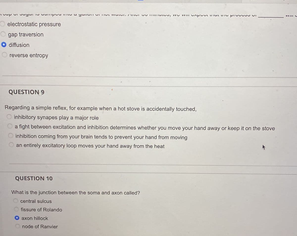 VỊ QUỸ
O electrostatic pressure
gap traversion
diffusion
reverse entropy
QUESTION 9
u yulivil vi
QUESTION 10
Regarding a simple reflex, for example when a hot stove is accidentally touched,
inhibitory synapes play a major role
a fight between excitation and inhibition determines whether you move your hand away or keep it on the stove
inhibition coming from your brain tends to prevent your hand from moving
an entirely excitatory loop moves your hand away from the heat
a ne pruu
What is the junction between the soma and axon called?
central sulcus
fissure of Rolando
axon hillock
node of Ranvier
WW III