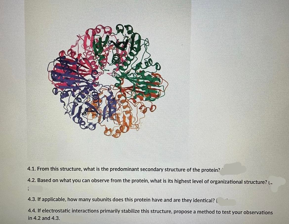 4.1. From this structure, what is the predominant secondary structure of the protein?
4.2. Based on what you can observe from the protein, what is its highest level of organizational structure? (-
4.3. If applicable, how many subunits does this protein have and are they identical? (
4.4. If electrostatic interactions primarily stabilize this structure, propose a method to test your observations
in 4.2 and 4.3.
