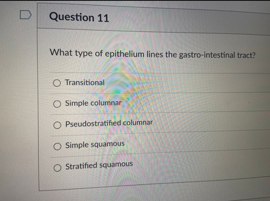 Question 11
What type of epithelium lines the gastro-intestinal tract?
O Transitional
O Simple columnar
O Pseudostratified columnar
O Simple squamous
O Stratified squamous