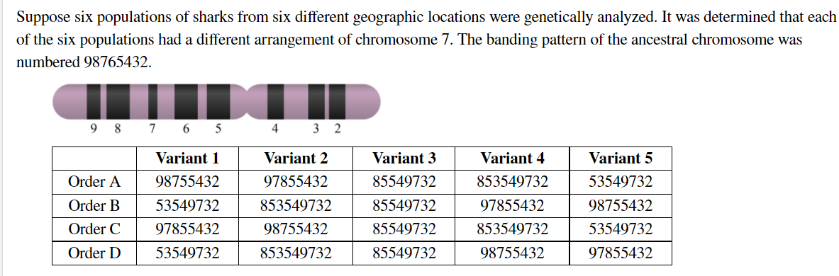 Suppose six populations of sharks from six different geographic locations were genetically analyzed. It was determined that each
of the six populations had a different arrangement of chromosome 7. The banding pattern of the ancestral chromosome was
numbered 98765432.
9 8 7 6 5
4 3 2
Variant 1
Variant 2
Variant 3
Variant 4
Variant 5
Order A
98755432
97855432
85549732
853549732
53549732
Order B
53549732
853549732
85549732
97855432
98755432
Order C
97855432
98755432
85549732
853549732
53549732
Order D
53549732
853549732
85549732
98755432
97855432
