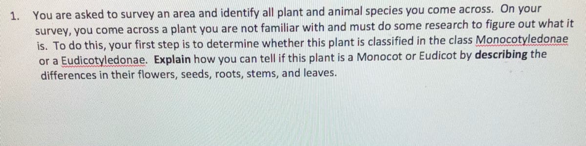 You are asked to survey an area and identify all plant and animal species you come across. On your
survey, you come across a plant you are not familiar with and must do some research to figure out what it
is. To do this, your first step is to determine whether this plant is classified in the class Monocotyledonae
or a Eudicotyledonae. Explain how you can tell if this plant is a Monocot or Eudicot by describing the
differences in their flowers, seeds, roots, stems, and leaves.
1.
