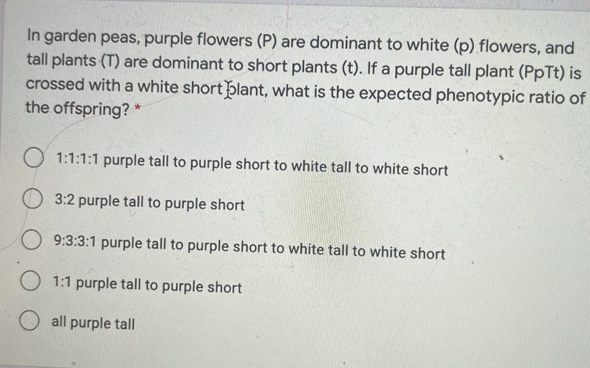 In garden peas, purple flowers (P) are dominant to white (p) flowers, and
tall plants (T) are dominant to short plants (t). If a purple tall plant (PpTt) is
crossed with a white short blant, what is the expected phenotypic ratio of
the offspring? *
O 1:1:1:1 purple tall to purple short to white tall to white short
O 3:2 purple tall to purple short
9:3:3:1 purple tall to purple short to white tall to white short
O 1:1 purple tall to purple short
all purple tall

