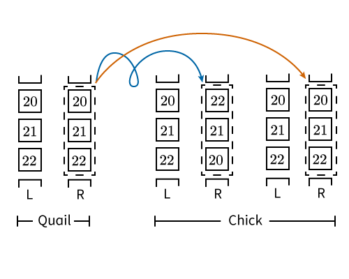 1808[
188[-
1008
1888 [-
]@@@[× I
สล
@@@[-
20
Chick
Quail