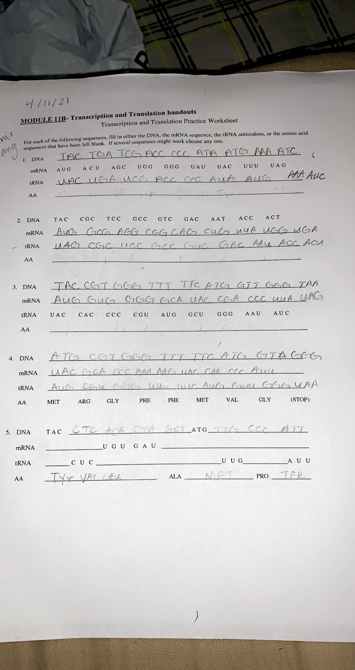 (2/וt/
MODULE 11B- Transcription and Translation handouts
Transcription and Translation Practice Worksheet
nie
For cach of the following sequences, fill in either the DNA, the mRNA sequence, the tRNA anticodons, or the amino acid
scquences that have been left blank. If several sequences might work choose any one.
ang
IAC TGA TCG ACC ccc ATA ATG AAA ATC
1. DNA
AUG
ACU
AGC
UGG
GGG
UAU
UAC
UUU
UAG
MRNA
unc uGA ucG ACc ccc AuA AUG
AMA AUC
(RNA
AA
2. DNA
TAC
CGC
ТСС
GCC
GTC
GAC
АСС
AAT
АСТ
AuG GcG AGG CGG CAG cU uuA UGGUGA
mRNA
UAG CGc UCc Grs Guc GAC AAU ACC ACu
tRNA
AA
TAC CGTGGG TTT TTC ATG GTT GGG TAA
AuG GuG
3. DNA
GGG GCA UAC CGA CCC uUA UAG
mRNA
tRNA
UAC
CAC
ССС
CGU
AUG
A AU
GCU
GGG
AUC
AA
4. DNA
ATG CGI GGG TTI TTC ATG GTAGEG
UAC GCA CCC AAA AAG UAC CAA
mRNA
AuG CGu GGG Wlir
lur AuGGuu GGGUAA
tRNA
AA
MET
ARG
GLY
PHE
PHE
МЕТ
VAL
GLY
(STOP)
5. DNA
TAC CTCACA CTAGCT ATG 7G cc
mRNA
UGU
GAU
tRNA
CU C
UUG
AUU
Itr VAL LEU
MET
AA
TFR
ALA
PRO
