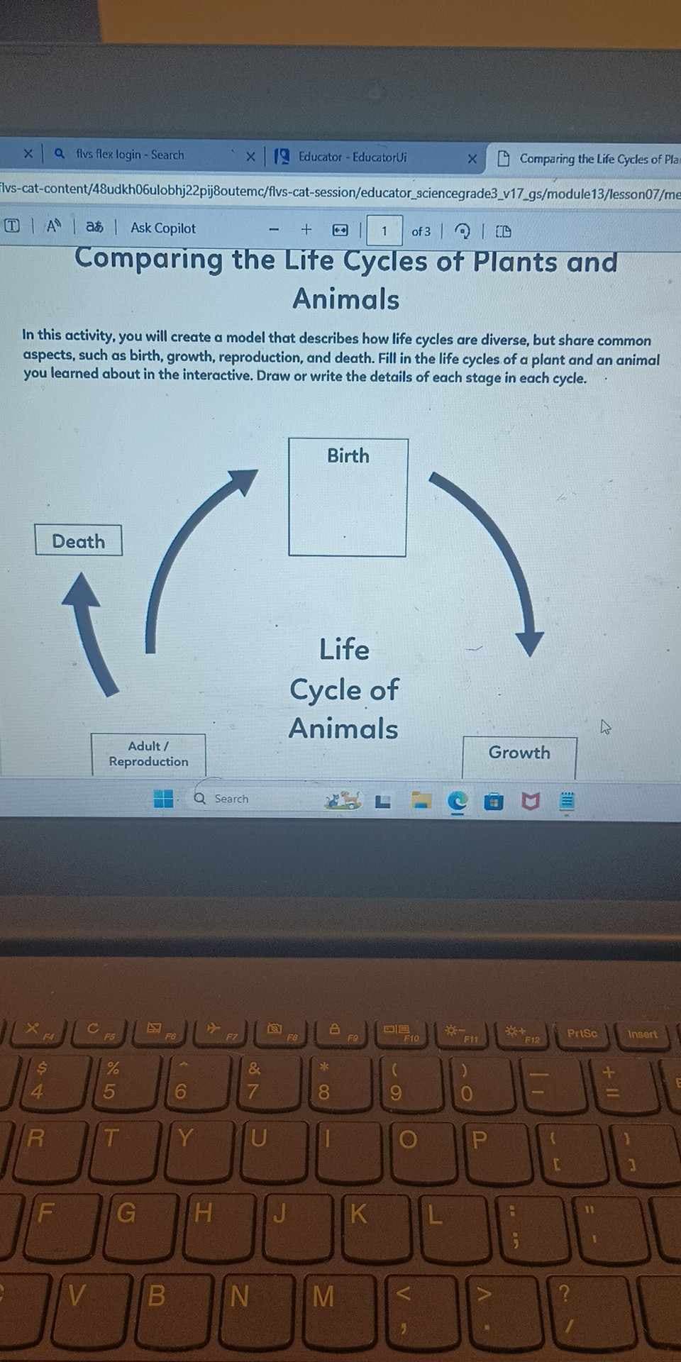 Q flvs flex login - Search
x Educator - EducatorUi
X
Comparing the Life Cycles of Plan
lvs-cat-content/48udkh06ulobhj22pij8outemc/flvs-cat-session/educator_sciencegrade3_v17_gs/module13/lesson07/me
Aa Ask Copilot
1 of 3
Comparing the Life Cycles of Plants and
Animals
In this activity, you will create a model that describes how life cycles are diverse, but share common
aspects, such as birth, growth, reproduction, and death. Fill in the life cycles of a plant and an animal
you learned about in the interactive. Draw or write the details of each stage in each cycle.
Death
F4
94
$
Adult/
Reproduction
Q Search
F5
DA
F6
FZ
%
175
6
&
27
Birth
Life
Cycle of
Animals
R
T
Y
U
F
V
2
FB
8*>
合
G H J
B N M
Growth
茶味
Prisc
Insert
FO
F10
F11
F12
K
(
9
O
C
V
P
?
=
3