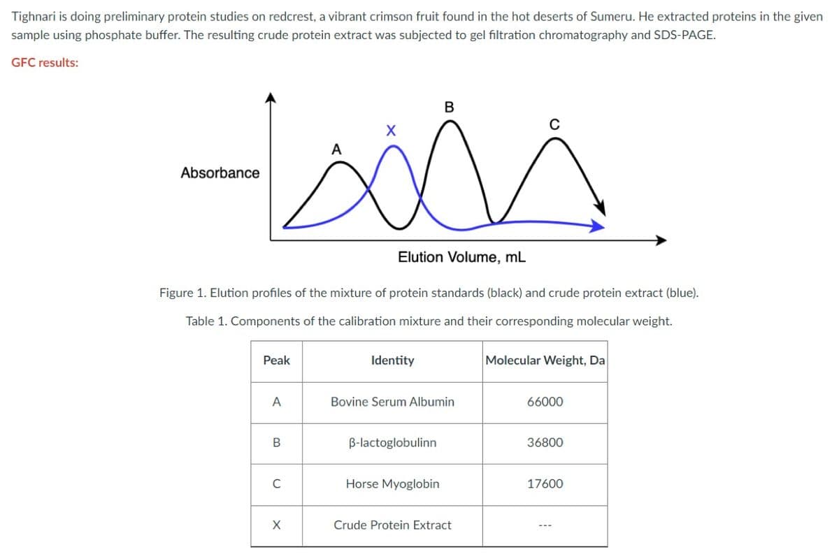 Tighnari is doing preliminary protein studies on redcrest, a vibrant crimson fruit found in the hot deserts of Sumeru. He extracted proteins in the given
sample using phosphate buffer. The resulting crude protein extract was subjected to gel filtration chromatography and SDS-PAGE.
GFC results:
-
Absorbance
Peak
A
B
Figure 1. Elution profiles of the mixture of protein standards (black) and crude protein extract (blue).
Table 1. Components of the calibration mixture and their corresponding molecular weight.
U
خلفة
X
A
Elution Volume, mL
Identity
B
Bovine Serum Albumin
B-lactoglobulinn
Horse Myoglobin
Crude Protein Extract
Molecular Weight, Da
66000
36800
17600