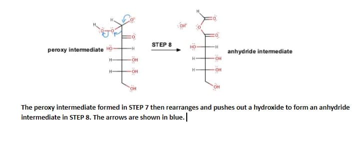 STEP 8
peroxy intemediate HO
но
anhydride intermediate
H-
H
он
он
он
The peroxy intermediate formed in STEP 7 then rearranges and pushes out a hydroxide to form an anhydride
intermediate in STEP 8. The arrows are shown in blue.
