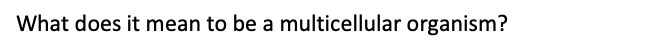 What does it mean to be a multicellular organism?
