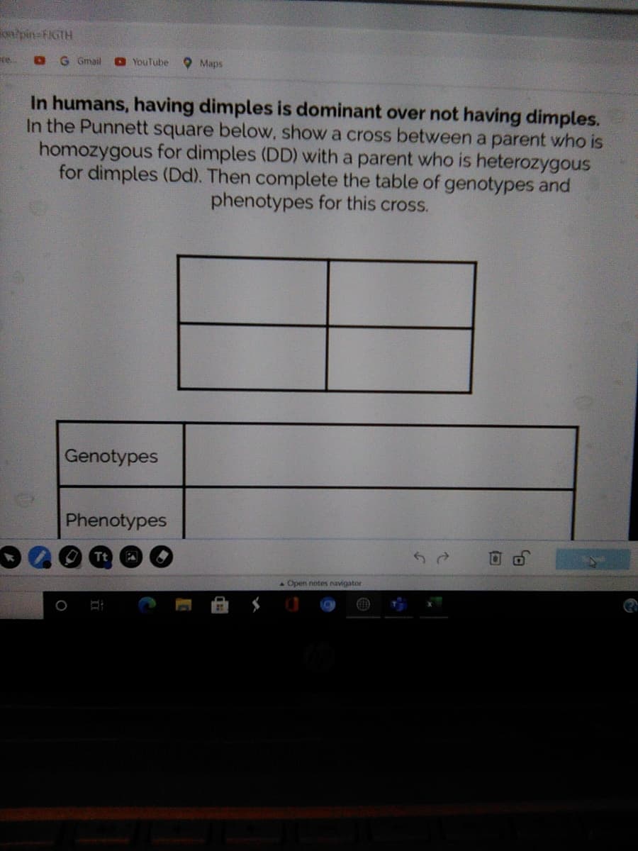 onpin=FIGIH
te.
G Gmail
O YouTube
Maps
In humans, having dimples is dominant over not having dimples.
In the Punnett square below, show a cross between a parent who is
homozygous for dimples (DD) with a parent who is heterozygous
for dimples (Dd). Then complete the table of genotypes and
phenotypes for this cross.
Genotypes
Phenotypes
Tt
A Open notes navigator
