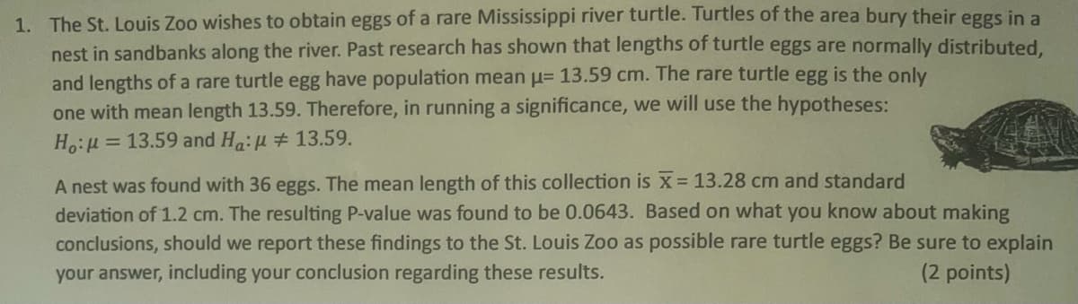 1. The St. Louis Zoo wishes to obtain eggs of a rare Mississippi river turtle. Turtles of the area bury their eggs in a
nest in sandbanks along the river. Past research has shown that lengths of turtle eggs are normally distributed,
and lengths of a rare turtle egg have population mean = 13.59 cm. The rare turtle egg is the only
one with mean length 13.59. Therefore, in running a significance, we will use the hypotheses:
=
Ho: 13.59 and Ha:
13.59.
A nest was found with 36 eggs. The mean length of this collection is X = 13.28 cm and standard
deviation of 1.2 cm. The resulting P-value was found to be 0.0643. Based on what you know about making
conclusions, should we report these findings to the St. Louis Zoo as possible rare turtle eggs? Be sure to explain
your answer, including your conclusion regarding these results.
(2 points)