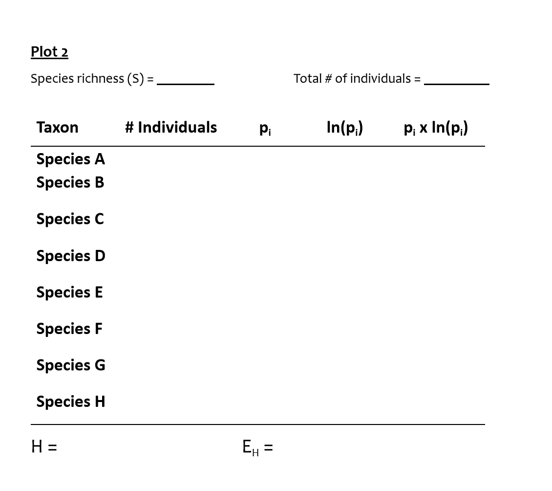 Plot 2
Species richness (S):
=
Taxon
Species A
Species B
Species C
Species D
Species E
Species F
Species G
Species H
H =
Total # of individuals =
# Individuals p₁ In(p.)
Pi
EH=
P₁ x ln(p₁)