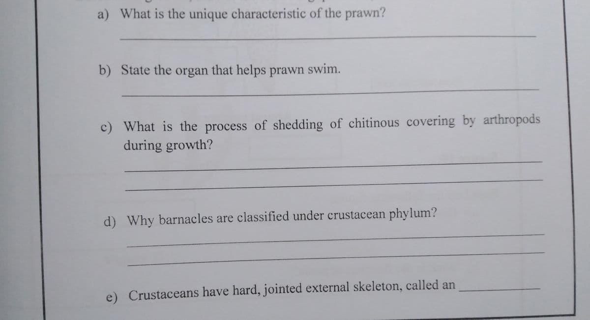 a) What is the unique characteristic of the prawn?
b) State the organ that helps prawn swim.
c)
What is the process of shedding of chitinous covering by arthropods
during growth?
d) Why barnacles are classified under crustacean phylum?
e) Crustaceans have hard, jointed external skeleton, called an
