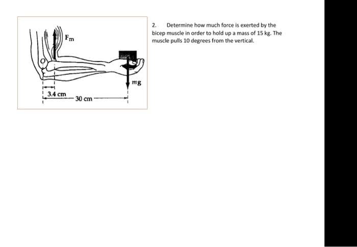 Fm
3.4 cm
30 cm
mg
2.
Determine how much force is exerted by the
bicep muscle in order to hold up a mass of 15 kg. The
muscle pulls 10 degrees from the vertical.